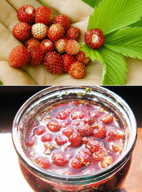 Поставьте на огонь ягоды в сиропе до закипания, затем сразу же снимите на пятнадцать минут и действуете согласно первому рецепту процедуру доведения до закипания необходимо провести четыре раза