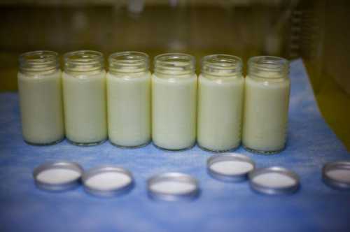 Пакеты можно подсоединять к молокоотсосу, что снижает вероятность загрязнения молока при сцеживании